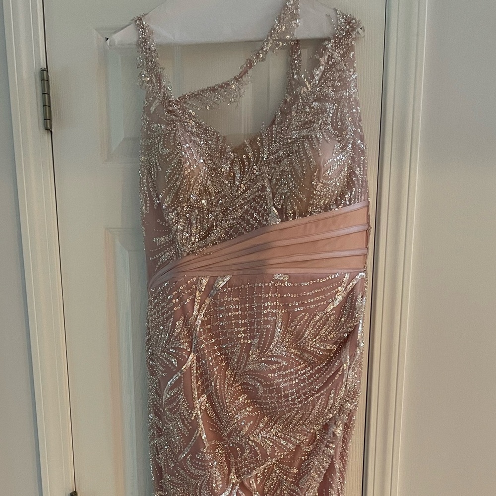 Dress Forum Pink Strapless Prom Gown